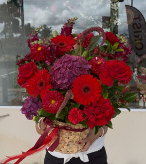 Bitolia Flower Boutique | Garden Basket Arrangement Bitolia Flower Boutique|Garden Basket Arrangement