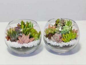 Bitolia Flower Boutique | Hamper 6