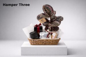 Hamper 3 | Bitolia Flower Boutique