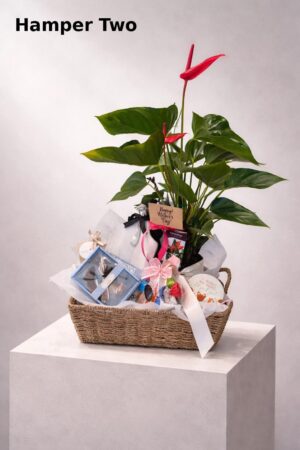 hamper 2